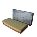 FILTRO AIRE MOTOR